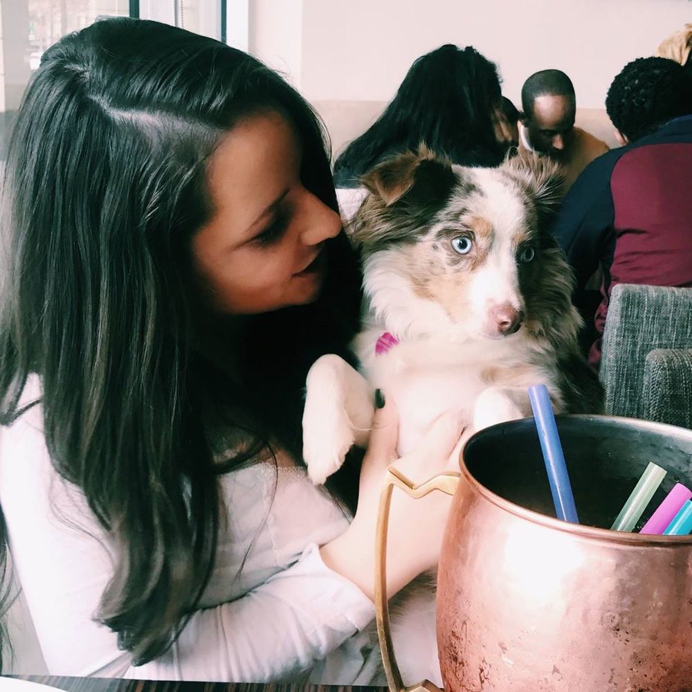 Meet your Posher, Maddie
